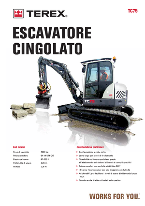 Escavatori cingolati Terex TC 75
