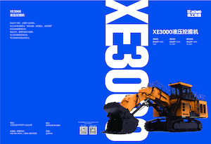 Escavatori cingolati XCMG XE3000