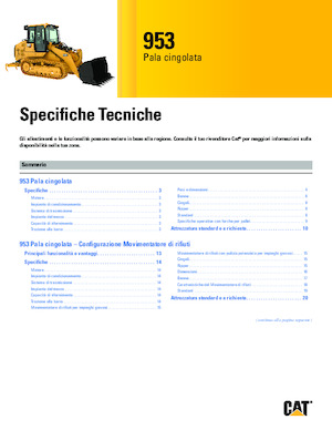 Pale cingolate Caterpillar 953