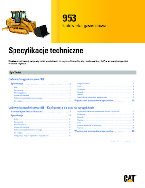 Pale cingolate Caterpillar 953