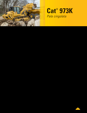 Pale cingolate Caterpillar 973K
