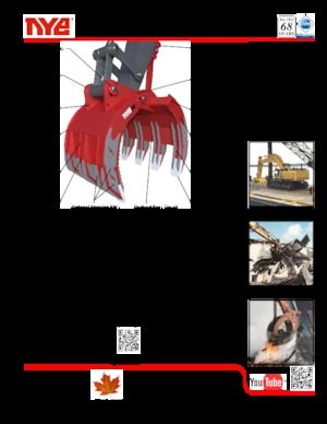 Benne frantoio selezionatrici Nye DGX359