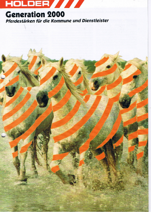 Veicoli comunali multiuso diesel Holder C 220