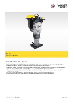 Costipatori Diesel e Benzina Wacker DS 70,11