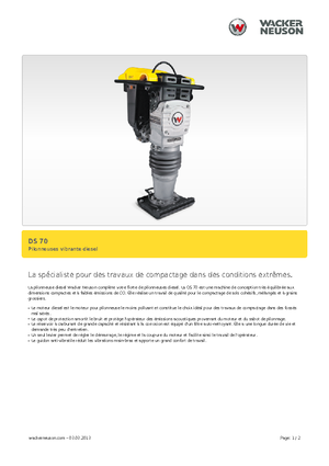 Costipatori Diesel e Benzina Wacker DS 70,11