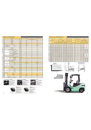 Carrelli elevatori frontali diesel Maximal FD 25 T-M2WB3