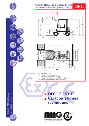 Carrelli elevatori diesel antideflagranti Miag DFG 25 XH 2