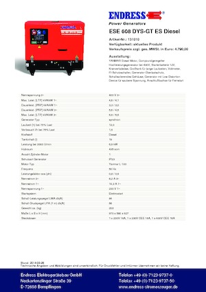Generatori a benzina Endress ESE 608 DYS-GT ES DI