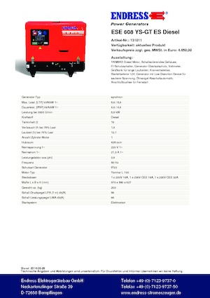 Generatori a benzina Endress ESE 608 YS-GT ES DI