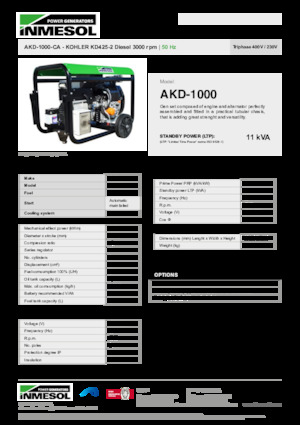 Generatori diesel INMESOL AKD-1000-CA