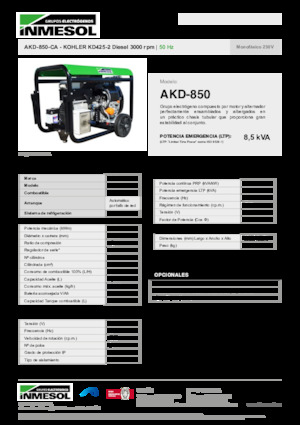 Generatori diesel INMESOL AKD-850-CA