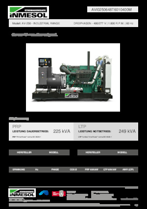 Generatori diesel INMESOL AV-250