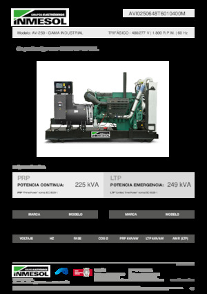 Generatori diesel INMESOL AV-250