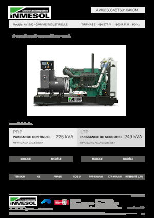 Generatori diesel INMESOL AV-250