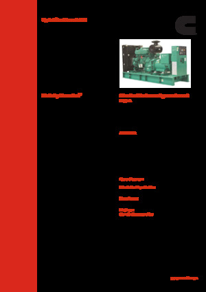 Generatori diesel Cummins C380 D5