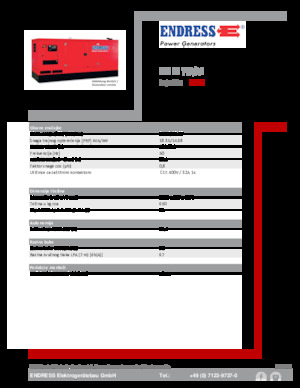 Generatori diesel Endress ESE 20 YW/AS 