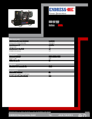 Generatori diesel Endress ESE 40 YW 
