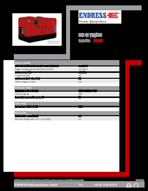 Generatori diesel Endress ESE 45 YW/MS