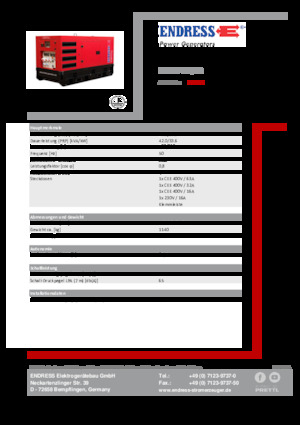 Generatori diesel Endress ESE 45 YW/RS