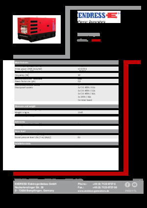 Generatori diesel Endress ESE 45 YW/RS