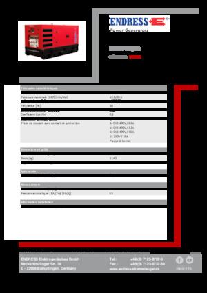 Generatori diesel Endress ESE 45 YW/RS