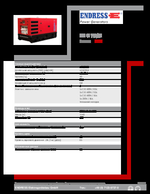 Generatori diesel Endress ESE 45 YW/RS