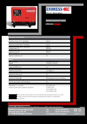 Generatori a benzina Endress ESE 608 DYS-GT ES DI
