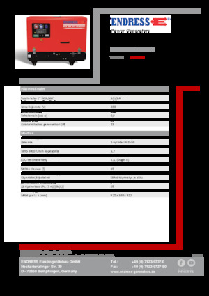 Generatori a benzina Endress ESE 608 YS-GT ES DI