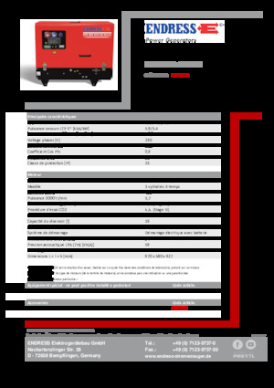 Generatori a benzina Endress ESE 608 YS-GT ES DI