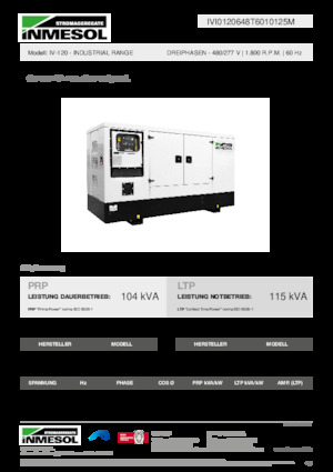 Generatori diesel INMESOL IV-120