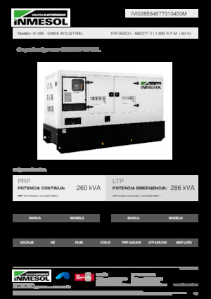 Generatori diesel INMESOL IV-285