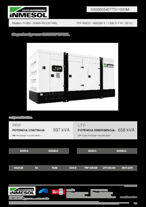 Generatori diesel INMESOL IV-650