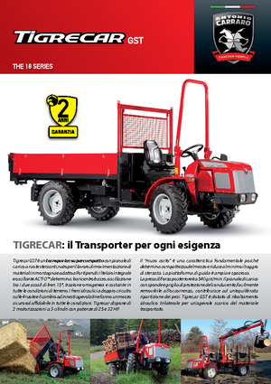 Trattori per uso municipale Carraro Tigrecar 3200 GST