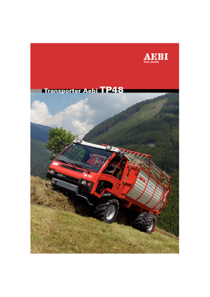 Veicoli comunali multiuso diesel Aebi TP 48