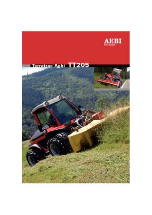 Veicoli comunali multiuso diesel Aebi TT 205