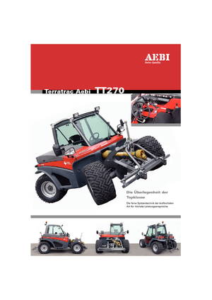 Veicoli comunali multiuso diesel Aebi TT 270