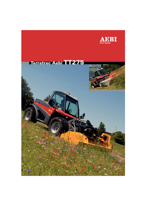 Veicoli comunali multiuso diesel Aebi TT 275