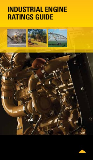 Motori Caterpillar 3054C