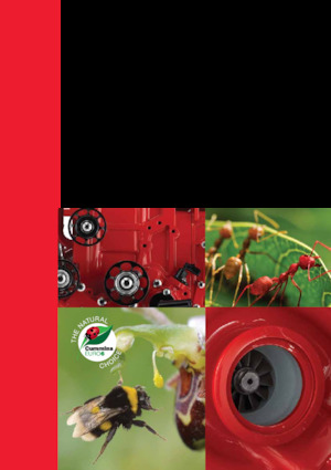 Motori Cummins ISB4.5