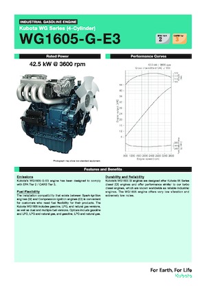 Motori Kubota WG1605-G-E3