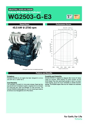 Motori Kubota WG2503-G-E3