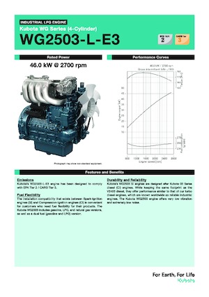 Motori Kubota WG2503-L-E3
