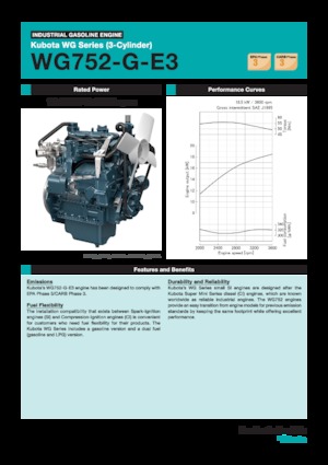 Motori Kubota WG752-G-E3