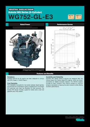 Motori Kubota WG752-GL-E3
