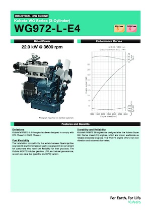 Motori Kubota WG972-L-E4