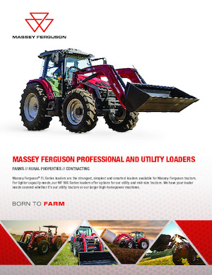 Pala gommata Massey Ferguson MF 936X