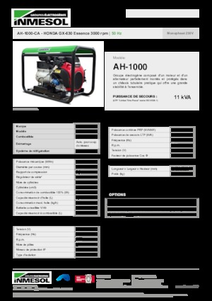 Generatori a benzina INMESOL AH-1000-CA