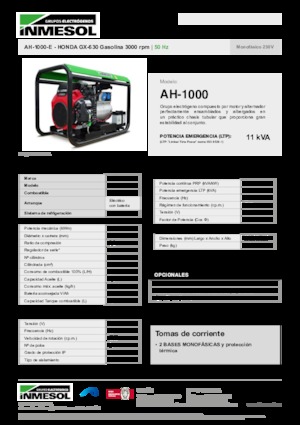 Generatori a benzina INMESOL AH-1000-E