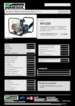 Generatori a benzina INMESOL AH-220-M
