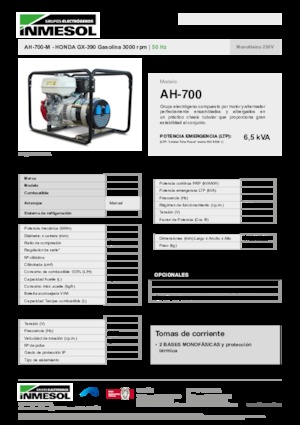 Generatori a benzina INMESOL AH-700-M